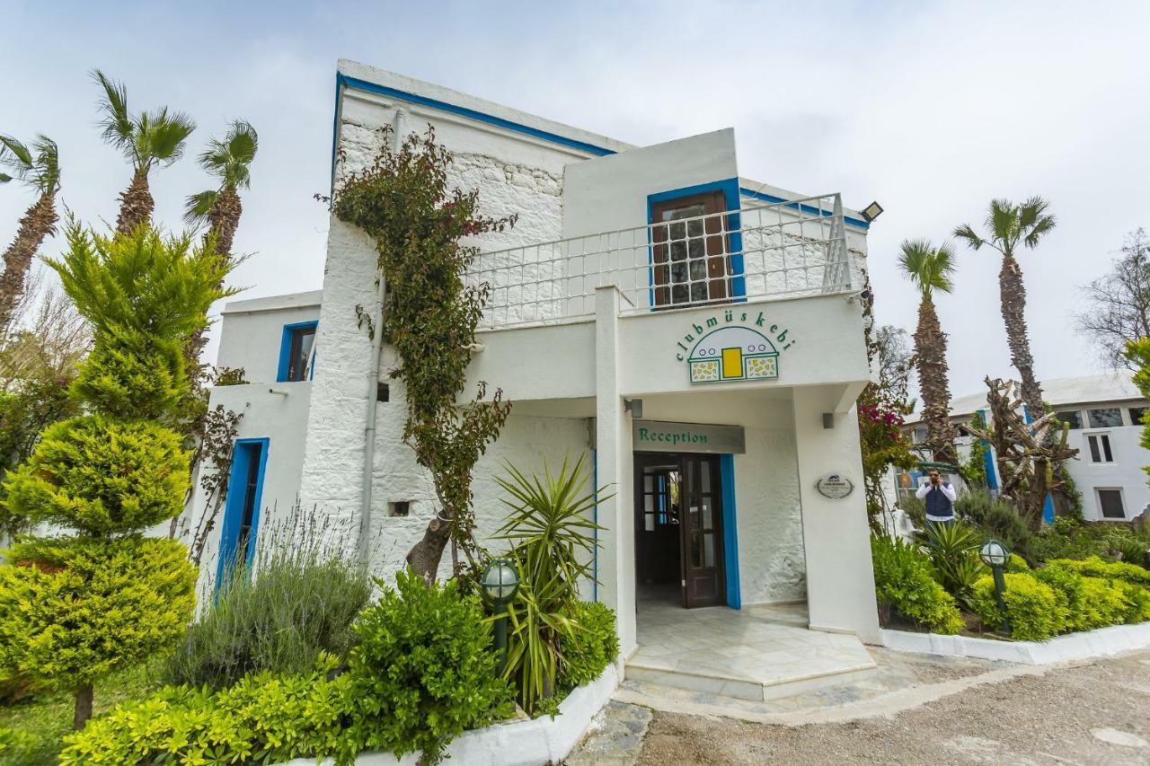 Club Muskebi Hotel Bodrum ภายนอก รูปภาพ